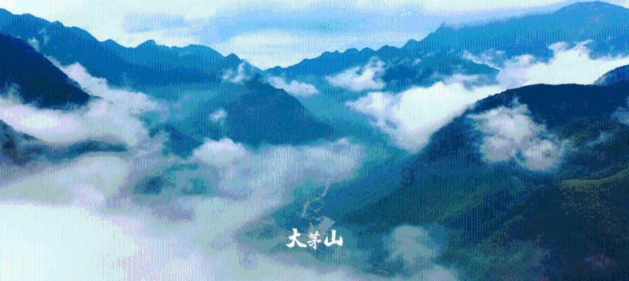 广西：多部门联合抗冰雪保畅通